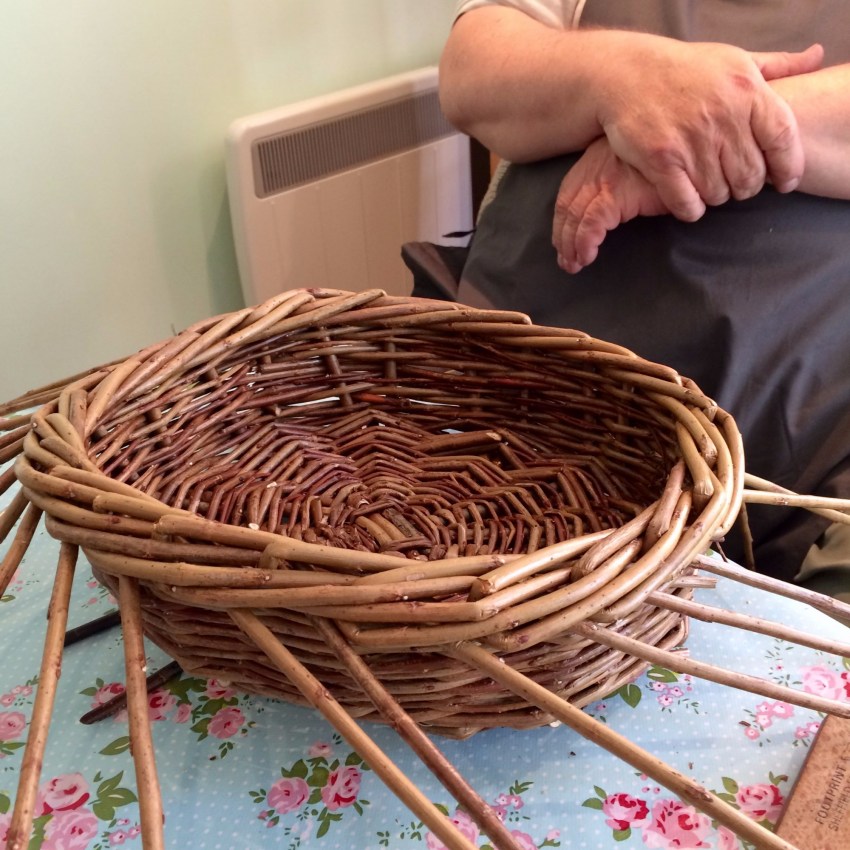 Плетение корзины из веток ивы | Древология | Дзен